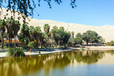 Scenic view of lake by house and palm trees against clear blue sky