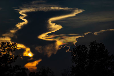 Low angle view of silhouette trees against sky at sunset