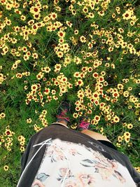 Low section of woman standing on grass