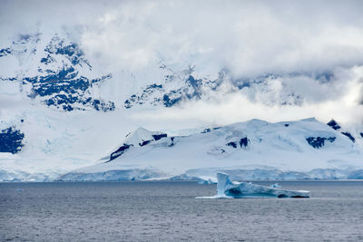 Icebergs in antarctica continent