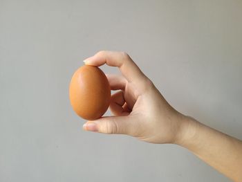 egg