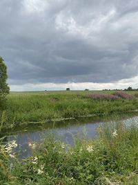 Scenic view of field against sky