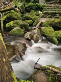 Scenic view of waterfall in forest