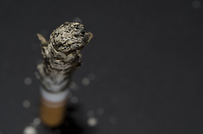 Close up of cigarette