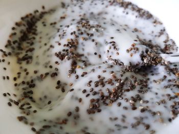 High angle view of dessert in plate