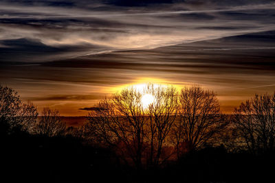 Silhouette of trees at sunset