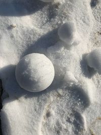 Close-up of snowflakes