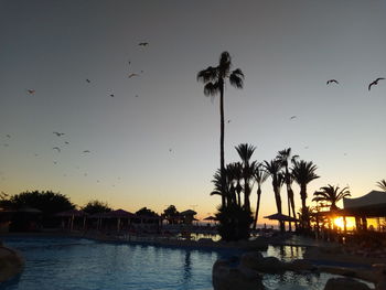 Silhouette birds flying over lake against sky at sunset