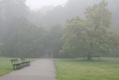 Empty park during foggy weather