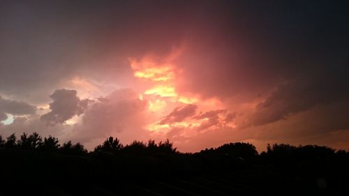 Silhouette trees against dramatic sky