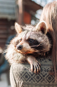 Close-up portrait of a relaxed looking away