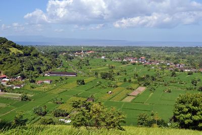 High angle view of trees on field against sky