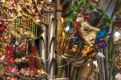 Close-up of various flowers for sale in market