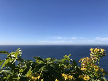 Scenic view of sea against blue sky