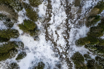 High angle view of waterfall along trees