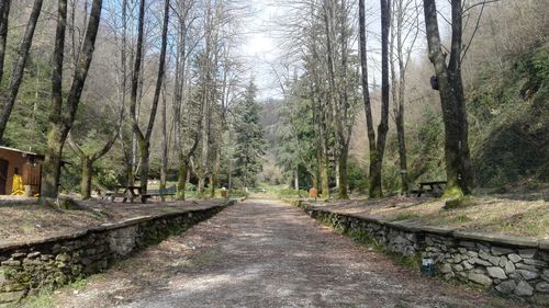 Dirt road amidst trees in forest against sky