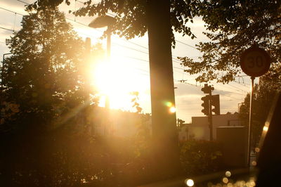 Silhouette trees against sky during sunset