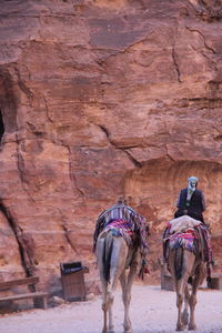 Man riding on camel in desert