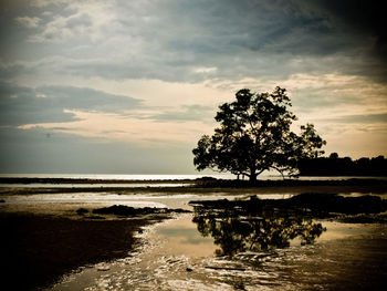 Scenic view of sea against sky at sunset