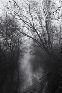 Bare trees by lake against sky