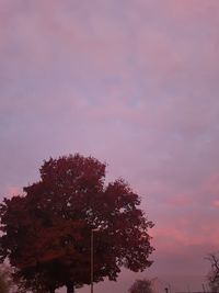 Silhouette tree against sky at sunset