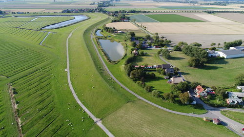 High angle view of agricultural field