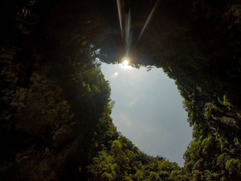 Low angle view of silhouette trees in forest against sky