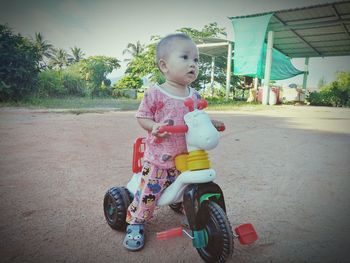 Cute boy riding toy car