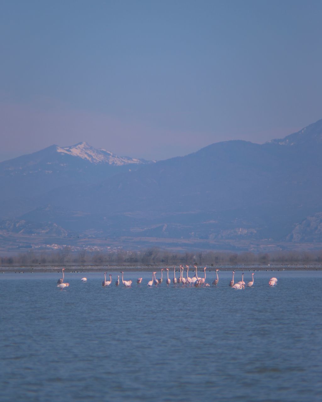 SCENIC VIEW OF SEA AND MOUNTAINS