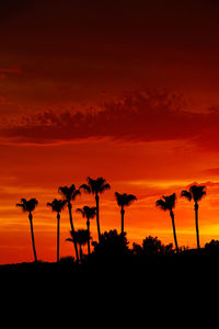 A silhouette of a group of palm trees against a brilliant orange toned sunset.