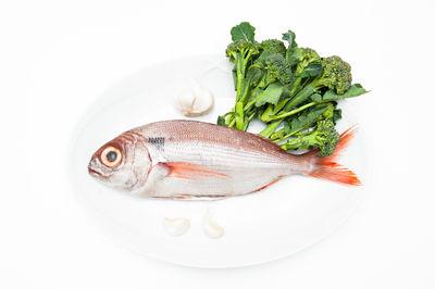 High angle view of vegetables in plate against white background