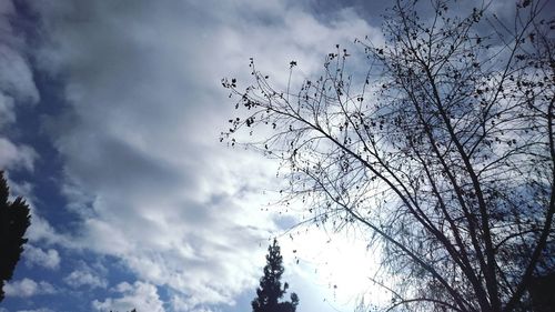 Low angle view of bare trees against cloudy sky