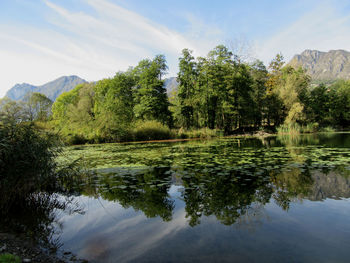 Scenic view of lake by trees against sky