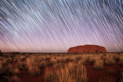 Scenic view of field against sky at night