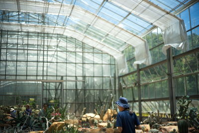 Rear view of people working in greenhouse