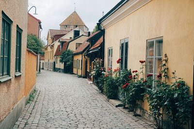 Flowering plants in alley amidst houses