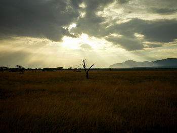 Scenic view of silhouette field against sky during sunset