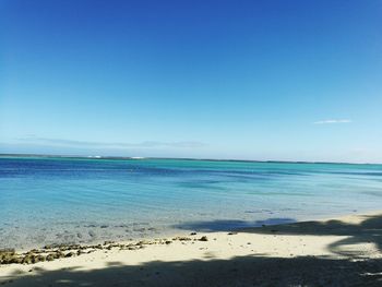 Scenic view of beach against blue sky