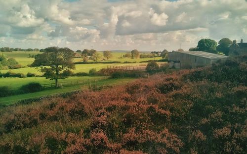 Scenic view of field against cloudy sky