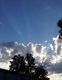 Low angle view of silhouette trees against sky