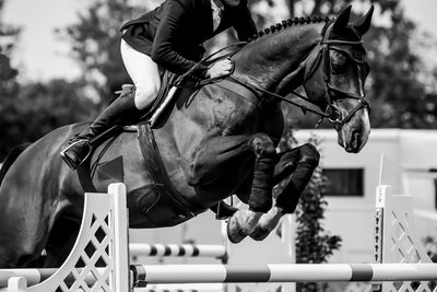 Horse jumping, equestrian sports, show jumping competition themed photograph.