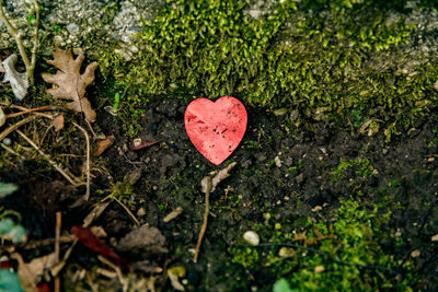 High angle view of heart shape on stone