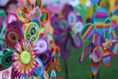 Close-up of colorful flowers against blurred background