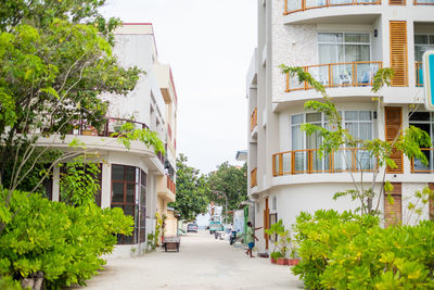 Street amidst trees and buildings in city