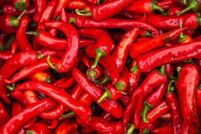 Red pepper. bunch of ripe big red peppers at a street market. background texture of red hot chili