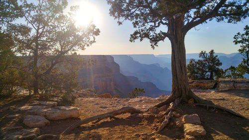 Scenic view of tree mountains against sky