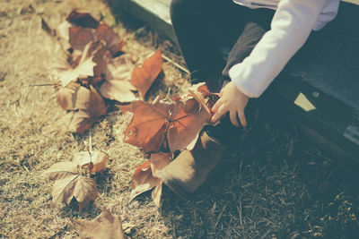 Low section of person sitting on bench by dry leaves