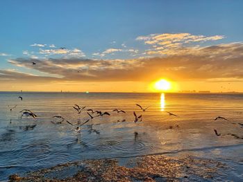 View of sea against sky during sunset