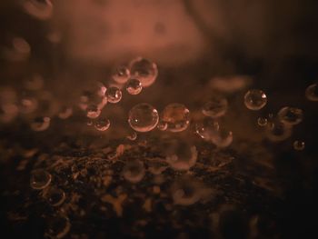 Full frame shot of waterdrops