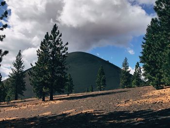 Trees on mountain against sky